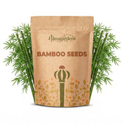 Bamboo Seeds – Bambusoideae spp.