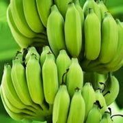 Dark Green Banana Seeds
