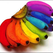 Mixed Colour Banana Seeds