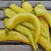 Sweet Banana Pepper Seeds