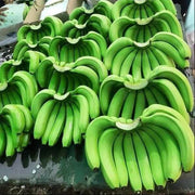 Dark Green Banana Seeds