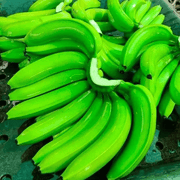 Dark Green Banana Seeds