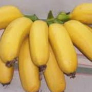 Goldfinger Banana Seeds