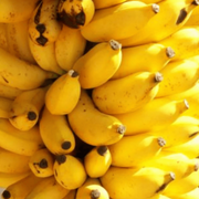 Goldfinger Banana Seeds