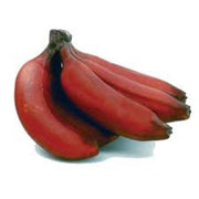 Maroon Banana Seeds, Fruit Pant
