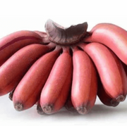 Maroon Banana Seeds, Fruit Pant