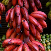 Maroon Red Banana Seeds