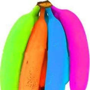 Mixed Colour Banana Seeds