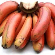 Orange Banana Seeds