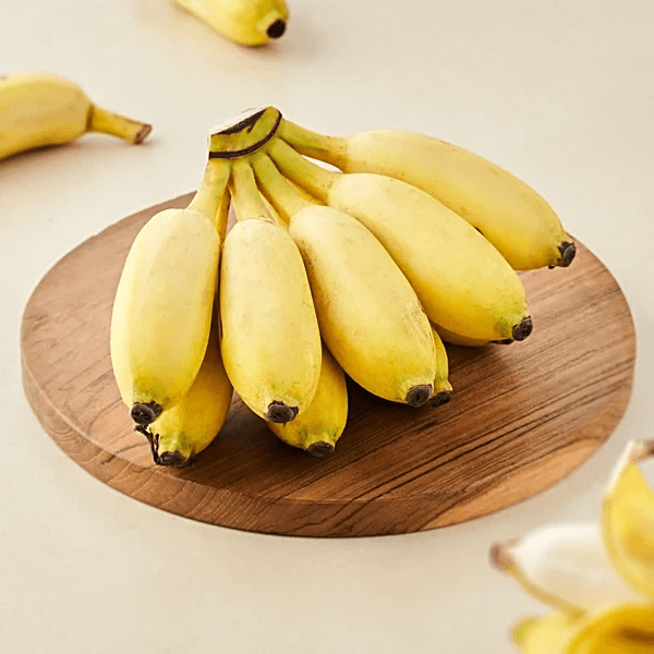 Pacovan Banana Seeds, Fruit Pant