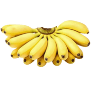 Pacovan Banana Seeds, Fruit Pant