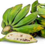 Saba Banana Seeds