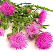 Wildflower Mix Bardana Seeds
