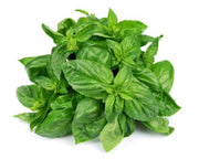 Dwarf Greek Basil Seeds, Herbal