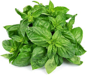 Nufar Ocimum Basilicum Organic Basil Seeds, Herbal