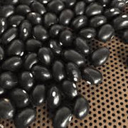 Black Coco Bean Seeds