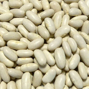 Mogettes Bean Seeds