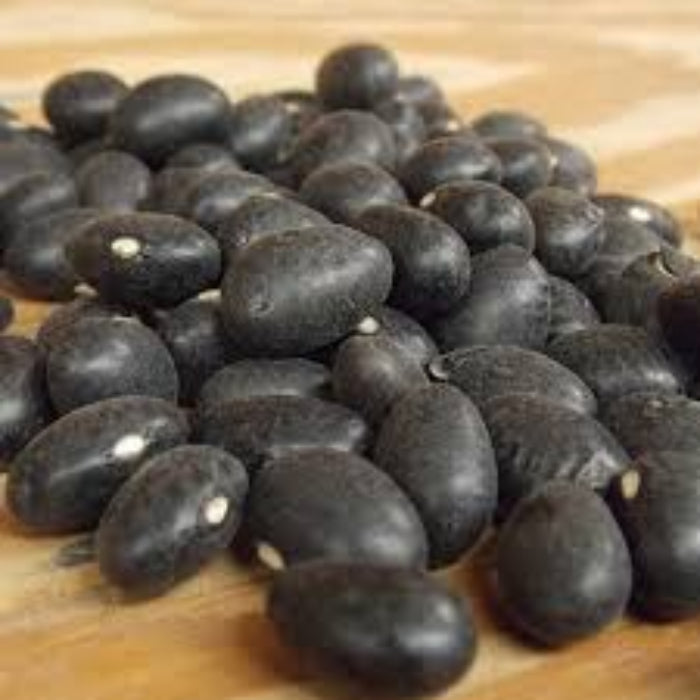 Black Coco Bean Seeds