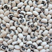 Black White Bean Seeds
