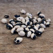 Black White Okra Bean Seeds