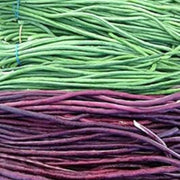 Green Violet Bean Seeds