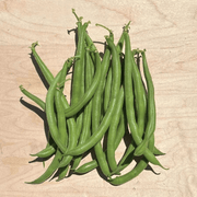 Jade Bean Seeds