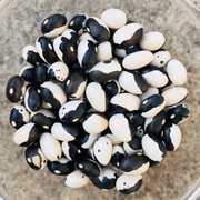 Orca Bean Seeds