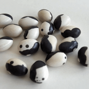 Orca Bean Seeds