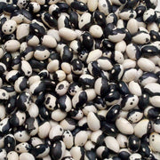 Orca Bean Seeds