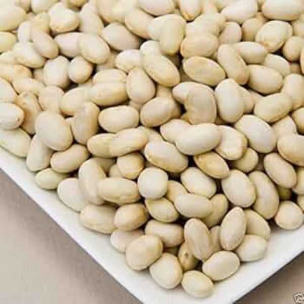 White Marrow Bean Seeds