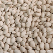 White Marrow Bean Seeds