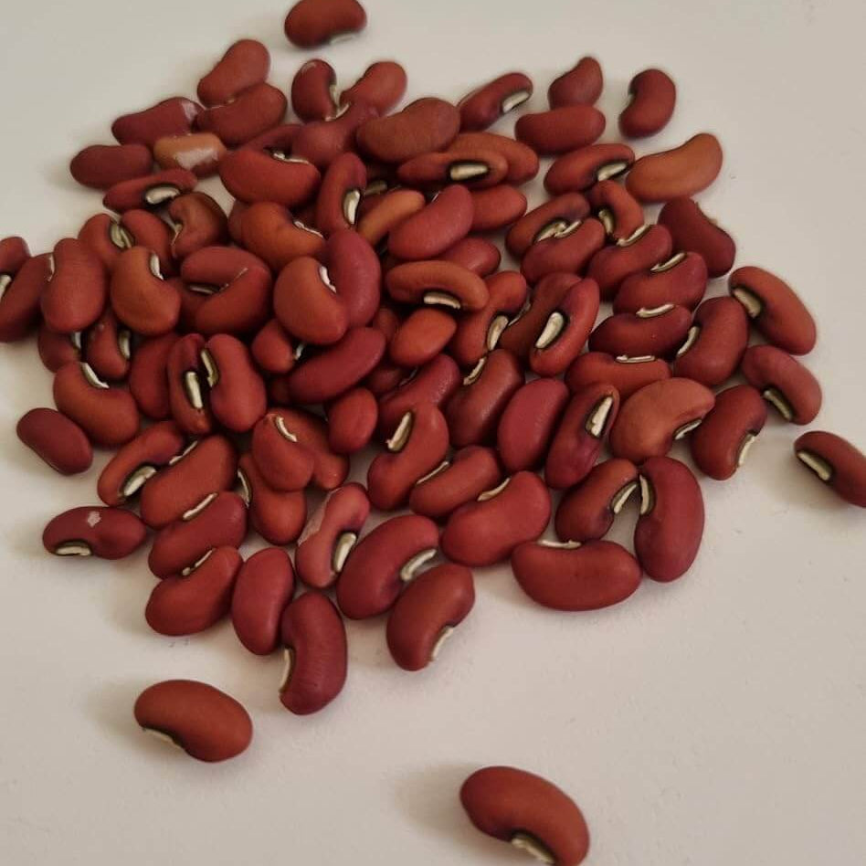 Yardlong Bean Seeds
