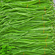 Yardlong Bean Seeds