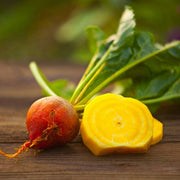 Orange Beet Seeds