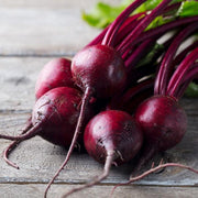 Purple Beet Seeds