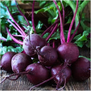 Purple Beet Seeds