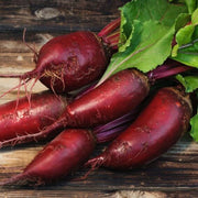 Cylindra Beetroot Seeds