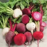 Mixed Beetroot Seeds