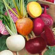 Mixed Beetroot Seeds