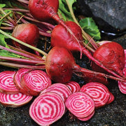 Pink Beetroot Seeds