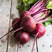 Rare Vulgaris Organic Beetroot Seeds