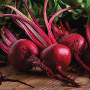 Red Beetroot Seeds