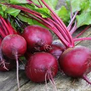 Dark Pink Beetroot Seeds