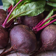 Purple Beetroot Seeds