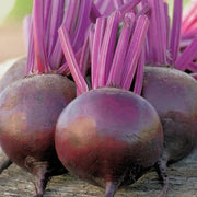 Violet Beetroot Seeds