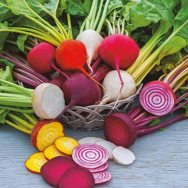 Mixed Beetroot Seeds