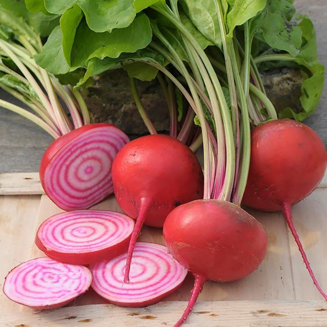 Pink Beetroot Seeds