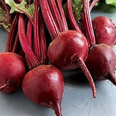 Rare Vulgaris Organic Beetroot Seeds