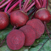 Red Beetroot Seeds