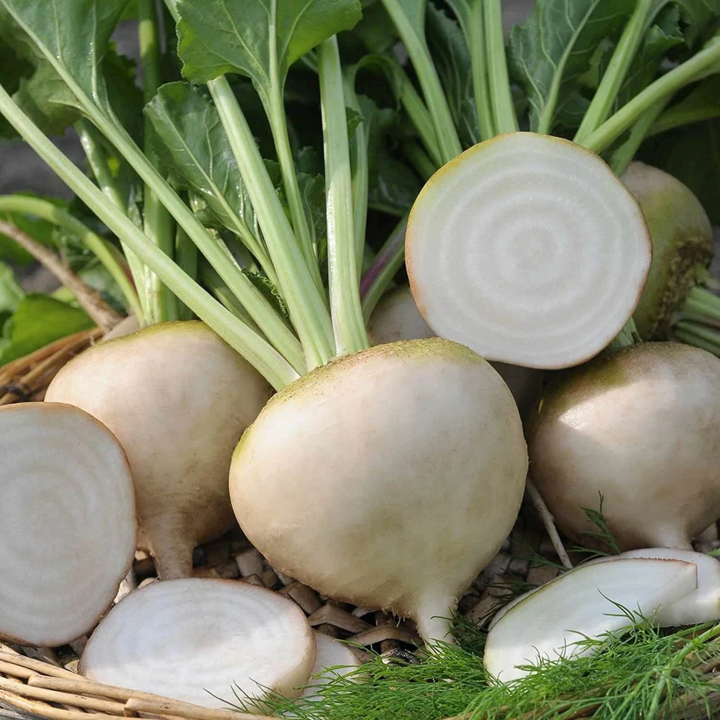 White Beetroot Seeds